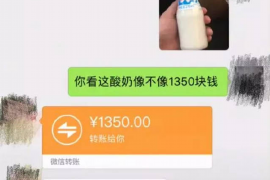 普洱如何避免债务纠纷？专业追讨公司教您应对之策